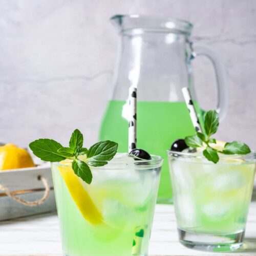 Disneyland Mint Julep Recipe - Twist and Toast