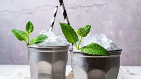 Non-Alcoholic Mint Julep - Twist and Toast