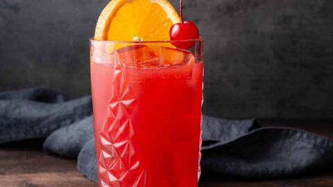 Drink-O Matic 冷蔵庫 レッド 最終値下げ Red Death Cocktail - Twist and Toast